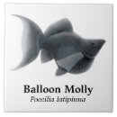 Recherche de aquarium populaire Aquariums populaires