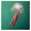 Recherche de méduses carreaux Marin