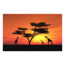 Recherche de safari africain posters Animal
