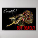 Recherche de snake posters Rose