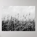 Recherche de triptyque posters Photographie