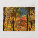 Recherche de tennessee cartes postales Motif