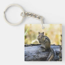 Recherche de chipmunk porteclés Rongeur