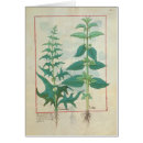 Recherche de testard cartes postales Illuminé