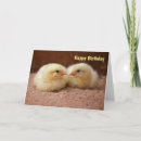 Recherche de basse cour anniversaire cartes Poulets