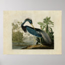 Recherche de louisianna Illustration
