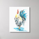 Recherche de coq toiles Portraits