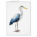 Recherche de herron Océan