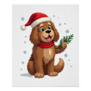 Recherche de chien terre neuve posters Loup