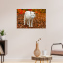 Recherche de loups blancs posters Forêt