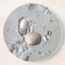 Recherche de coquillage dessous de verres Pour la plage