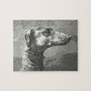 Recherche de whippet puzzles Lévrier