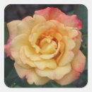 Recherche de hybrides autocollants Nature