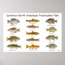 Recherche de les eaux posters Aquarelle