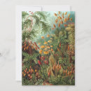 Recherche de illustrations vintages invitations Floral