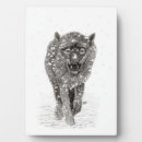 Recherche de loups plaques Sauvage