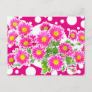 Recherche de marguerite rose cartes postales Floraison