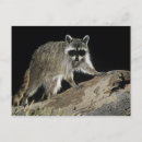 Recherche de loto cartes postales Personne