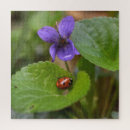Recherche de coccinelle puzzles Coléoptère