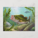 Recherche de pêche sportive cartes postales Basse