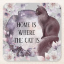 Recherche de chat dessous de verres Survol
