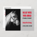 Recherche de cheval cartes postales Équin