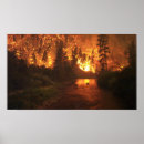 Recherche de incendie de forêt posters Le feu