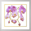 Recherche de orchidée posters Imprimer