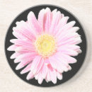 Recherche de marguerite gerbera dessous de verres Rose