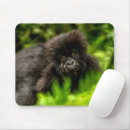 Recherche de forêt tropicale tapis souris Singe