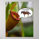 Recherche de plantes carnivores posters Pour tous