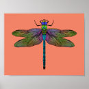 Recherche de empereur art Illustration