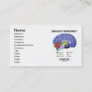 Recherche de anatomie humaine cartes visite Cerveau