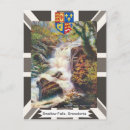 Recherche de hirondelles cartes postales Vintage