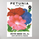 Recherche de pétunia art Floral