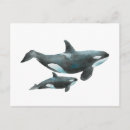 Recherche de orque cartes postales Illustration