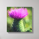 Recherche de chardon art Nature