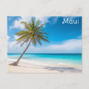 Recherche de maui cartes postales Palmier