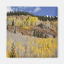 Recherche de autoroute magnets Personne