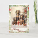 Recherche de vintage dachshund christmas vœux cartes Animal
