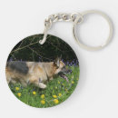Recherche de alsacien porteclés Photographe canin