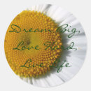 Recherche de guillemets autocollants Mignon