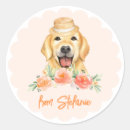 Recherche de golden retriever dog autocollants Anniversaire