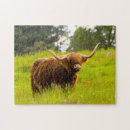 Recherche de highland cow puzzles Mignon