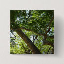 Recherche de nature carrés badges Arizona