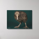 Recherche de kiwi oiseau art Animaux