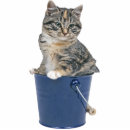 Recherche de tigre photo sculptures Chats