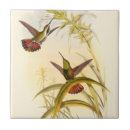 Recherche de colibri carreaux Feuille