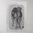 Recherche de dromadaire posters Dessin