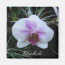 Recherche de orchidée magnets Blanc
